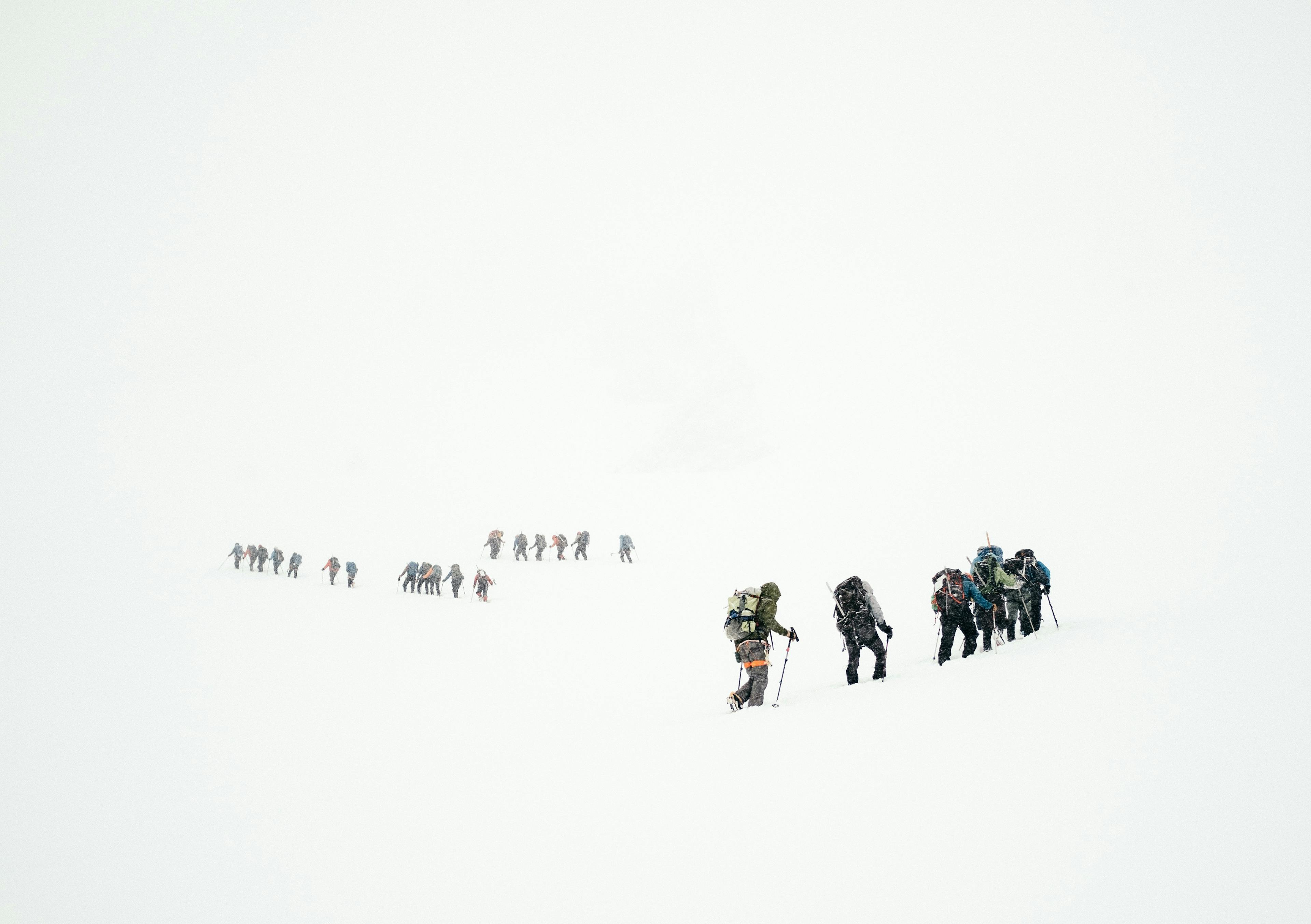 A flock of students take their chances at survival as they walk to their 8:30s. Source: photographer, dead from frostbite.